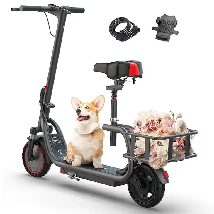 Werhy Electric Scooters With Seat