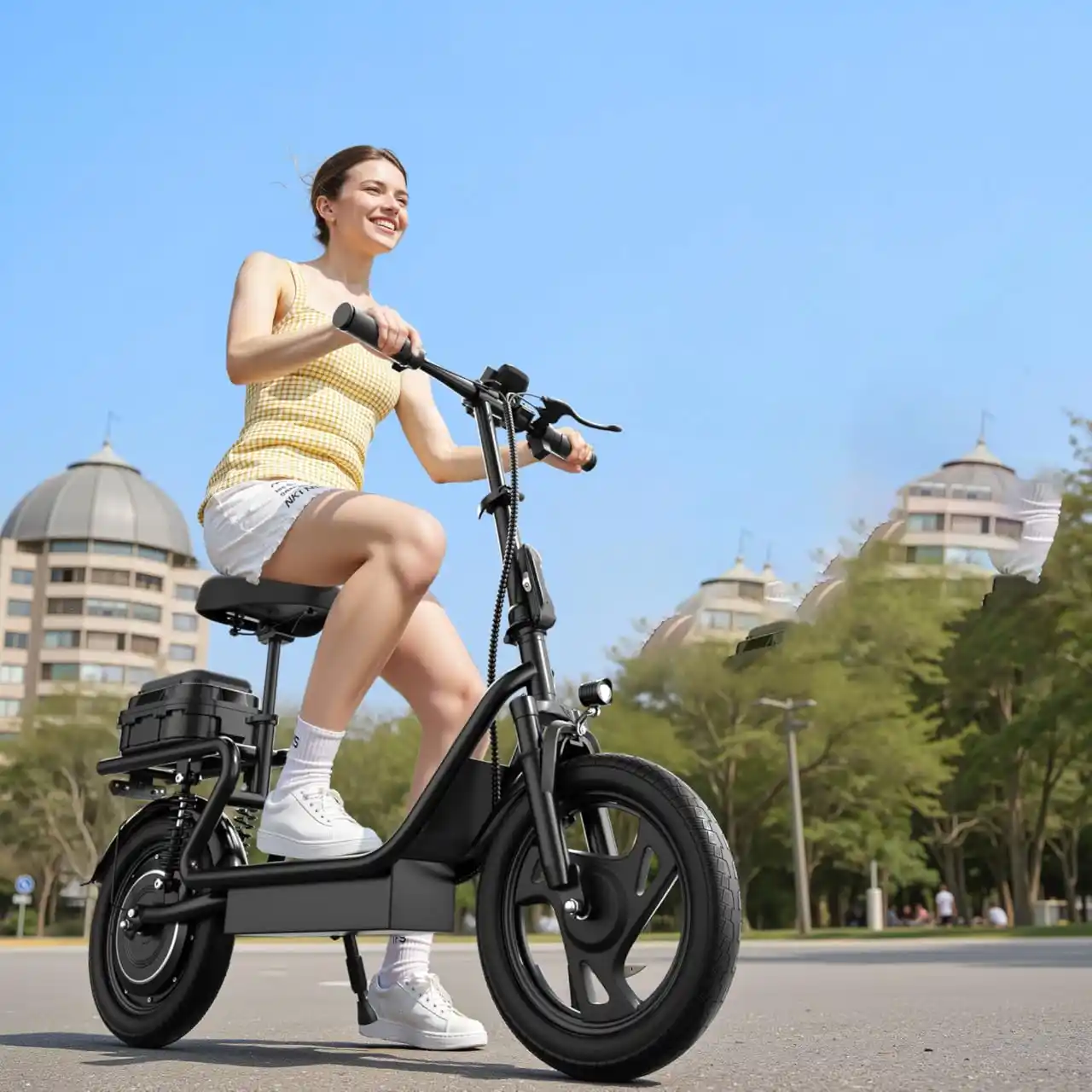 Werhy Electric Scooters With Seat